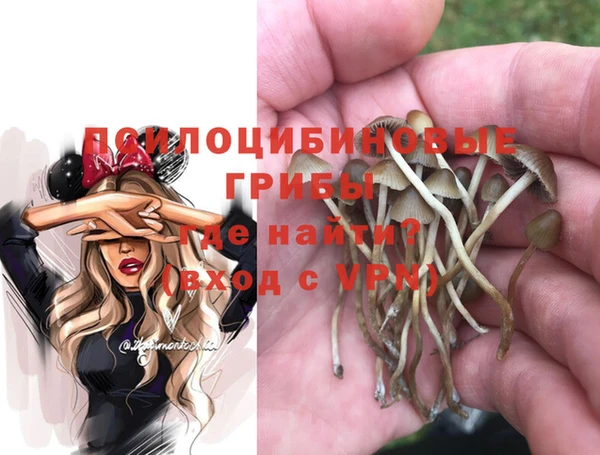 спайс Белокуриха