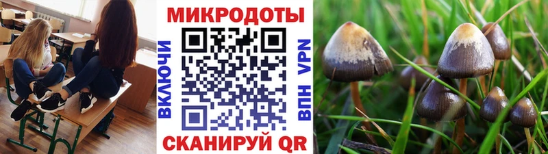 Псилоцибиновые грибы мицелий ОМГ ОМГ Волгореченск