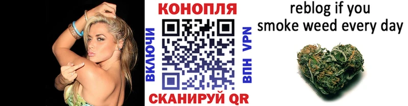 Канабис SATIVA & INDICA Волгореченск